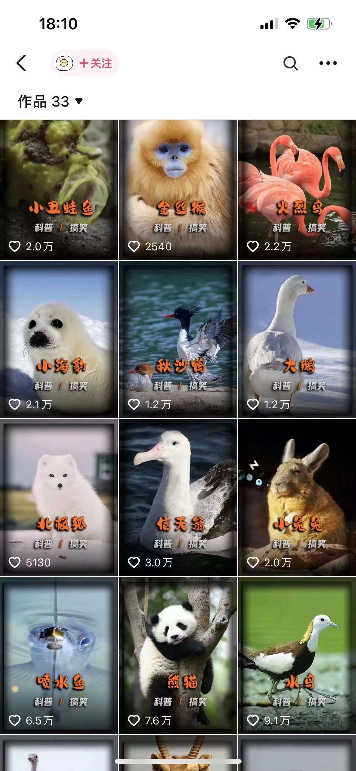 vcqmri1uiba5.jpeg